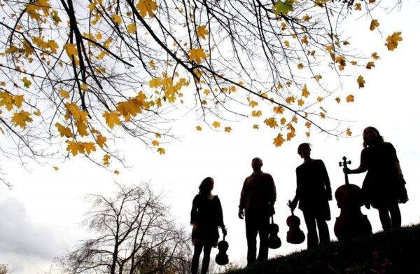 Silhouettes of 4 people holding their instruments against a white sky. The top of the photo is full with branches from a tree with yellow leaves.